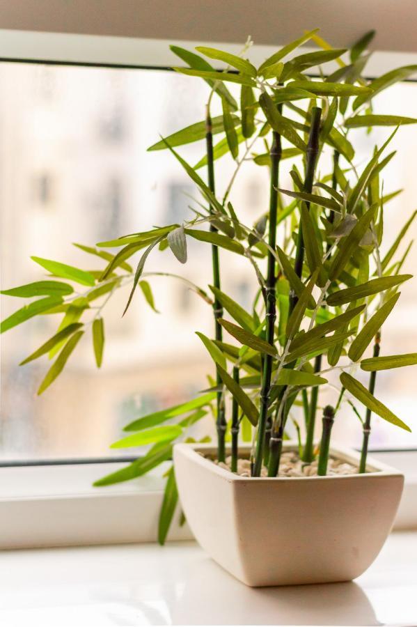 Edinburgh City Centre Aishia/Sakina Apartment * Edinburgh